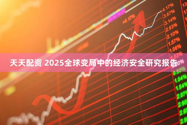 天天配资 2025全球变局中的经济安全研究报告