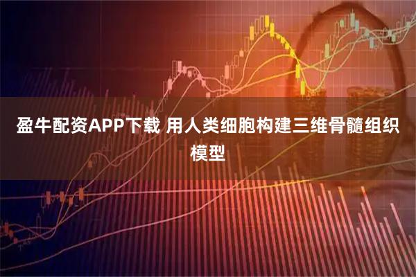 盈牛配资APP下载 用人类细胞构建三维骨髓组织模型
