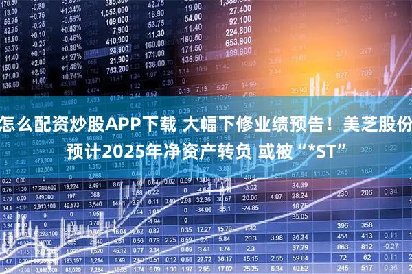 怎么配资炒股APP下载 大幅下修业绩预告！美芝股份预计2025年净资产转负 或被“*ST”