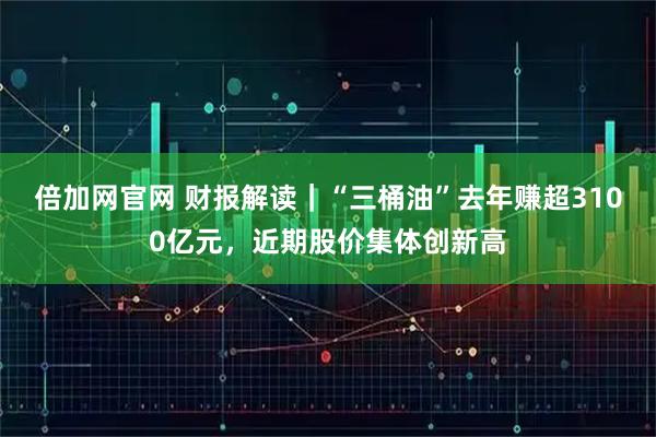 倍加网官网 财报解读｜“三桶油”去年赚超3100亿元，近期股价集体创新高