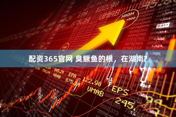 配资365官网 臭鳜鱼的根，在湖南?