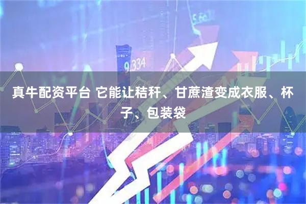 真牛配资平台 它能让秸秆、甘蔗渣变成衣服、杯子、包装袋